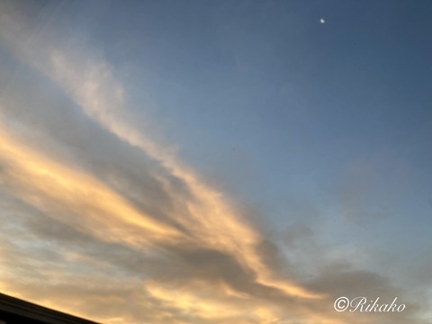 2021/11/29　朝の空　③