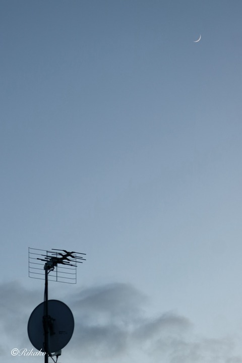 2026/01/22　三日月　②