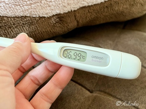 2024/05/02 微 熱