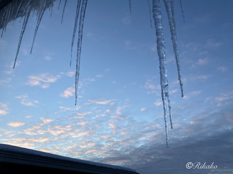 2022/01/28　朝　②