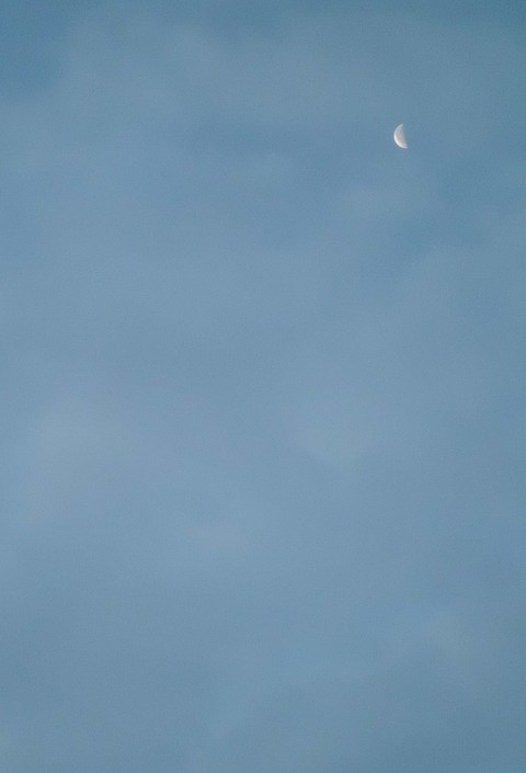 2013年12月26日　朝の三日月