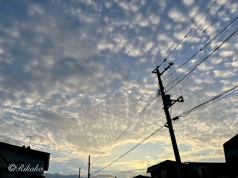 2026/08/01 空 ⑥