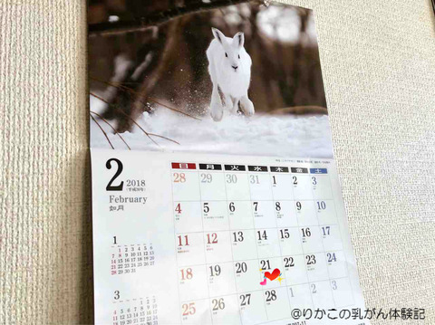 2018/01/31　24．7℃の朝　②