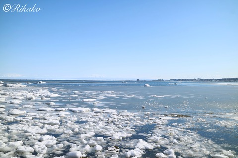 2025/02/24　流　氷　①