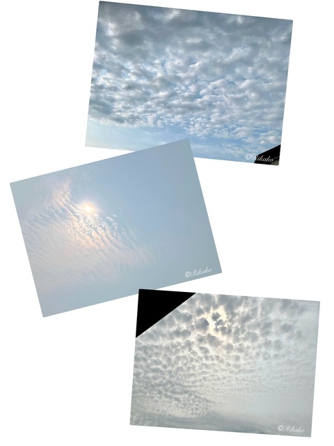2025/05/29　うろこ雲