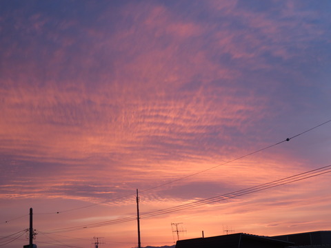 夕 空 ①