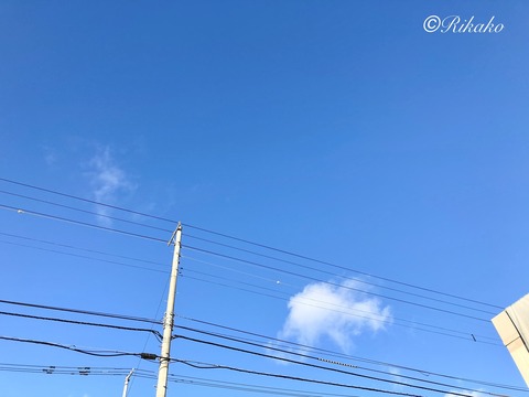 2021/11/28　乳がん告知日