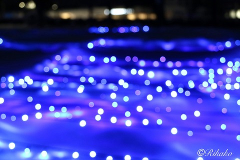 2025/12/28　イルミネーション　④