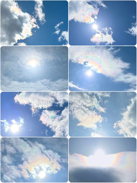 2026/07/07　上半期 彩雲 BEST 8