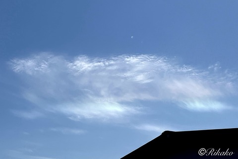 2026/07/05　彩　雲　①