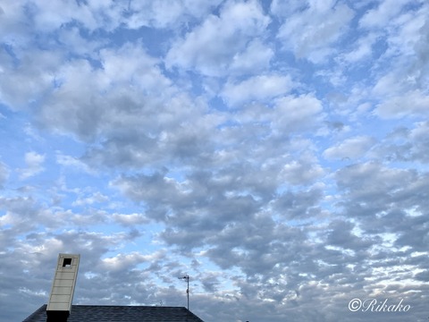 2026/05/18　夕方の空　④