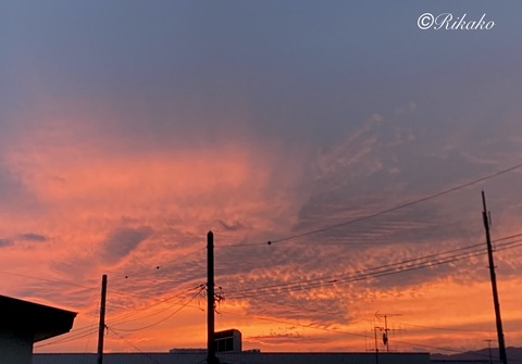 2022/08/30　曇りの日の夕焼け