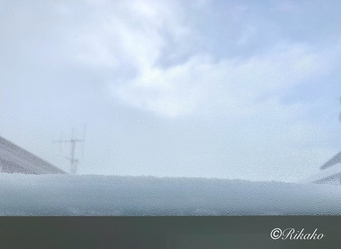 2024/02/28　吹雪が去った朝