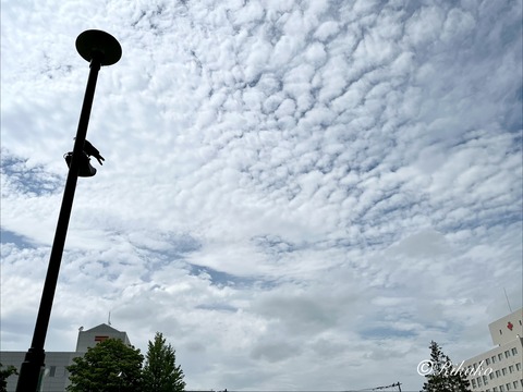 2026/07/15　がんサロン　④
