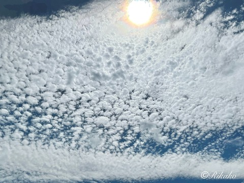 2025/07/09 空 ②