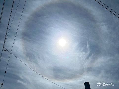 2025/07/14　ハ　ロ