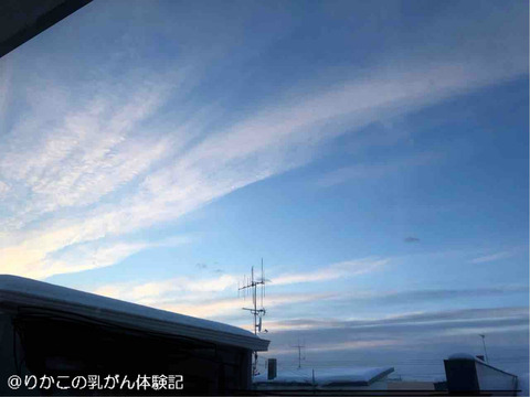 2018/01/31　24．7℃の朝　①