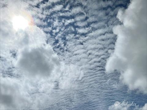 2026/08/01 空 ③