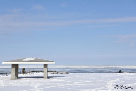2026/02/14　流　氷　6