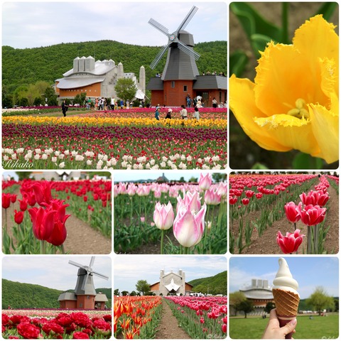 2024/12/03　想い出　～2024～　⑨