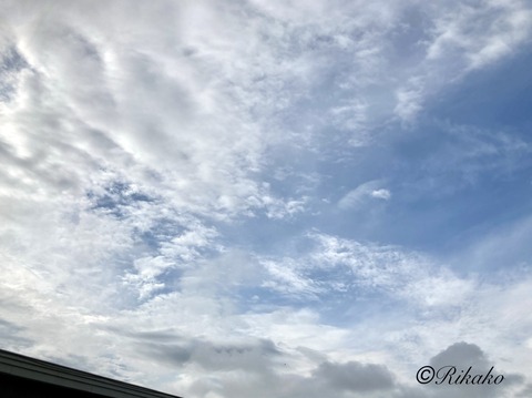 2022/06/20 朝の空