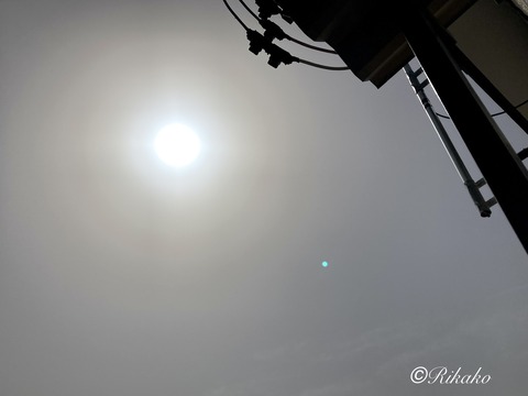 2023/05/22 朝 ②