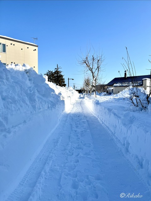 2025/12/18　積　雪