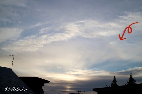 2024/11/06　朝ハロ　①