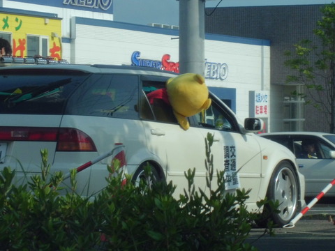 窓からプーさん