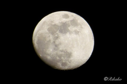 2026/03/01　夜の月