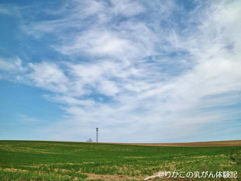 わたしの周りにある景色 ③