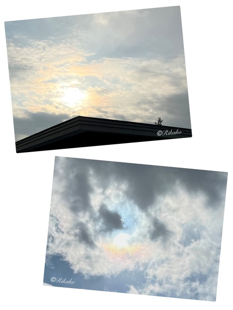 2026/03/16　14日振りの太陽