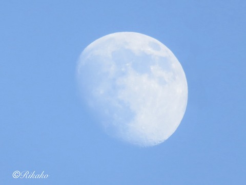 2025/12/31　今年最後の月　①