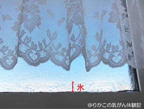 2019/01/30　朝　②