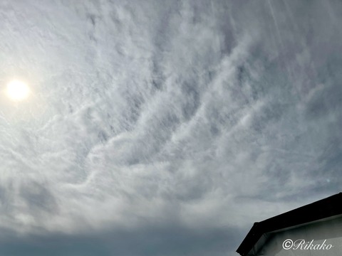 2025/09/29 朝の空