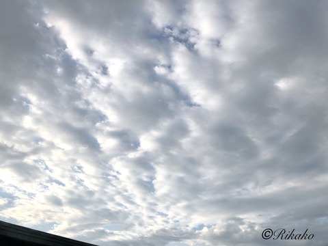 2021/08/31　朝の空　①
