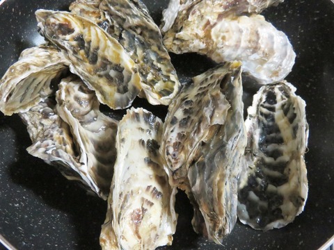 牡 蠣