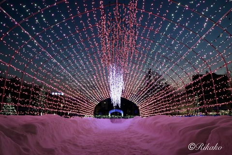 2025/12/28　イルミネーション　①