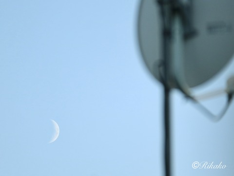 2025/10/27　六日月　②