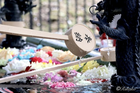 2026/05/05 美幌神社 ④