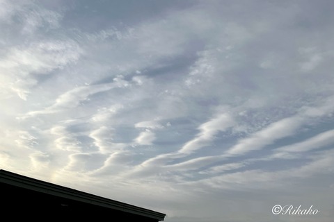 2026/04/02 朝の空 ①