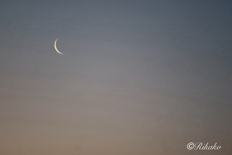 2026/01/16　マジックアワーと新月3日前の月　②
