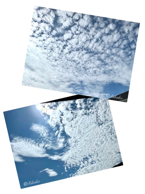 2024/07/20 朝の空 ~うろこ雲~