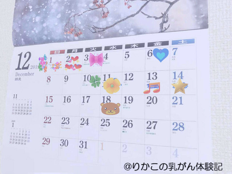 2019/11/29　最後の一枚