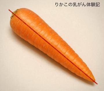 2025/05/29　人　参