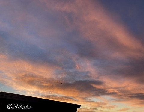2021/11/29　朝の空　①