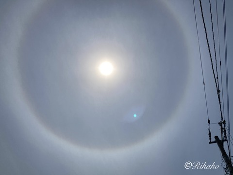 2023/06/22　ハ　ロ