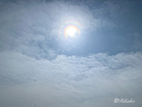 2026/04/10　彩雲（光環・光冠）　②