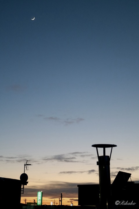 2026/01/22　三日月　④