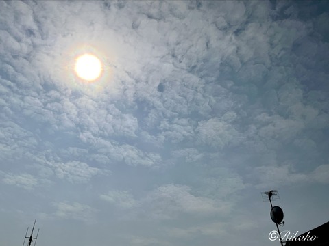 2026/04/10　彩雲（光環・光冠）　①